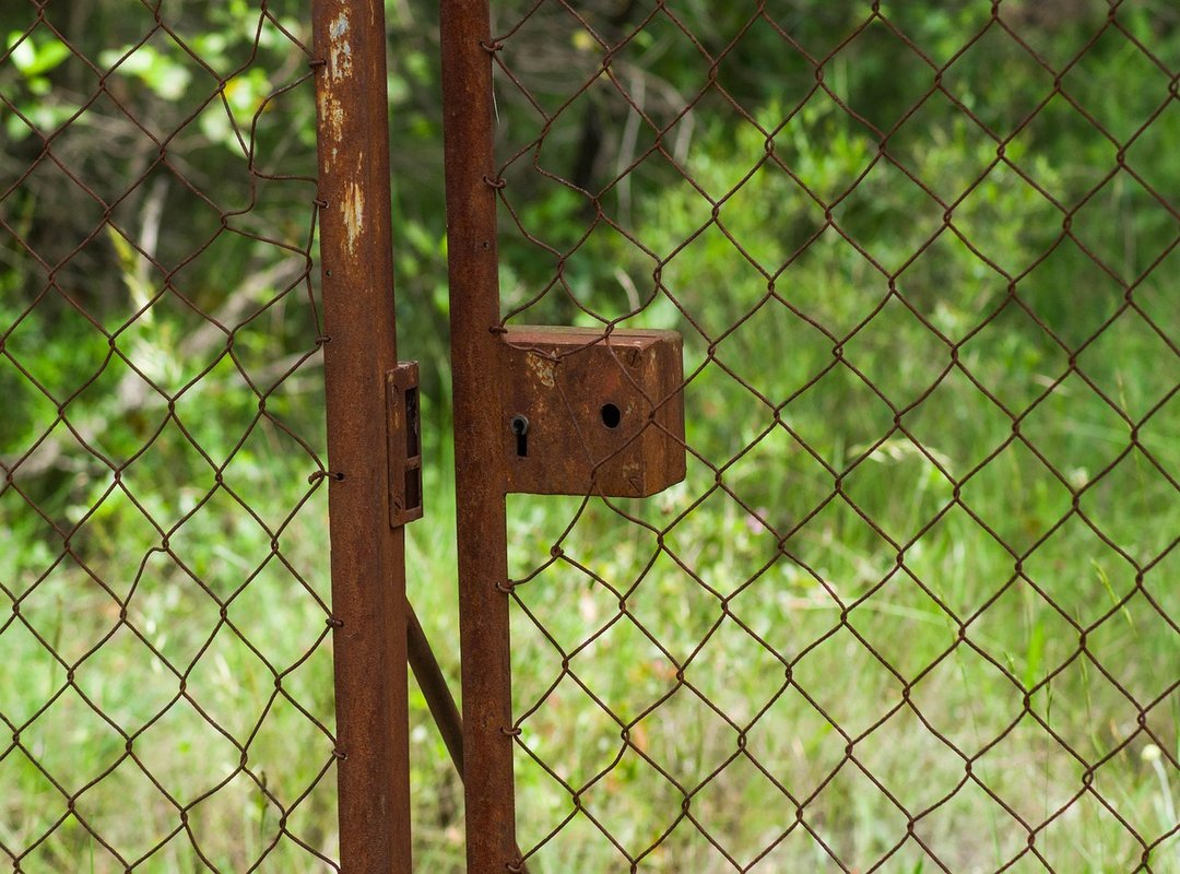 Getting the Most Out of Your DET NSW Portal Access