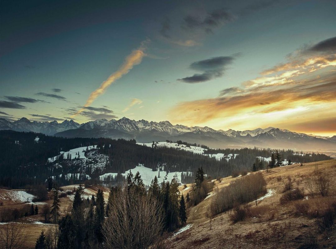 Finding the Sweet Spot: How to Balance Affection for a Healthy Relationship